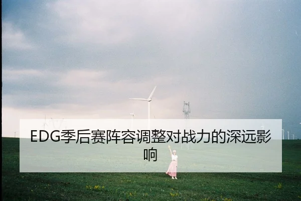 EDG季后赛阵容调整对战力的深远影响